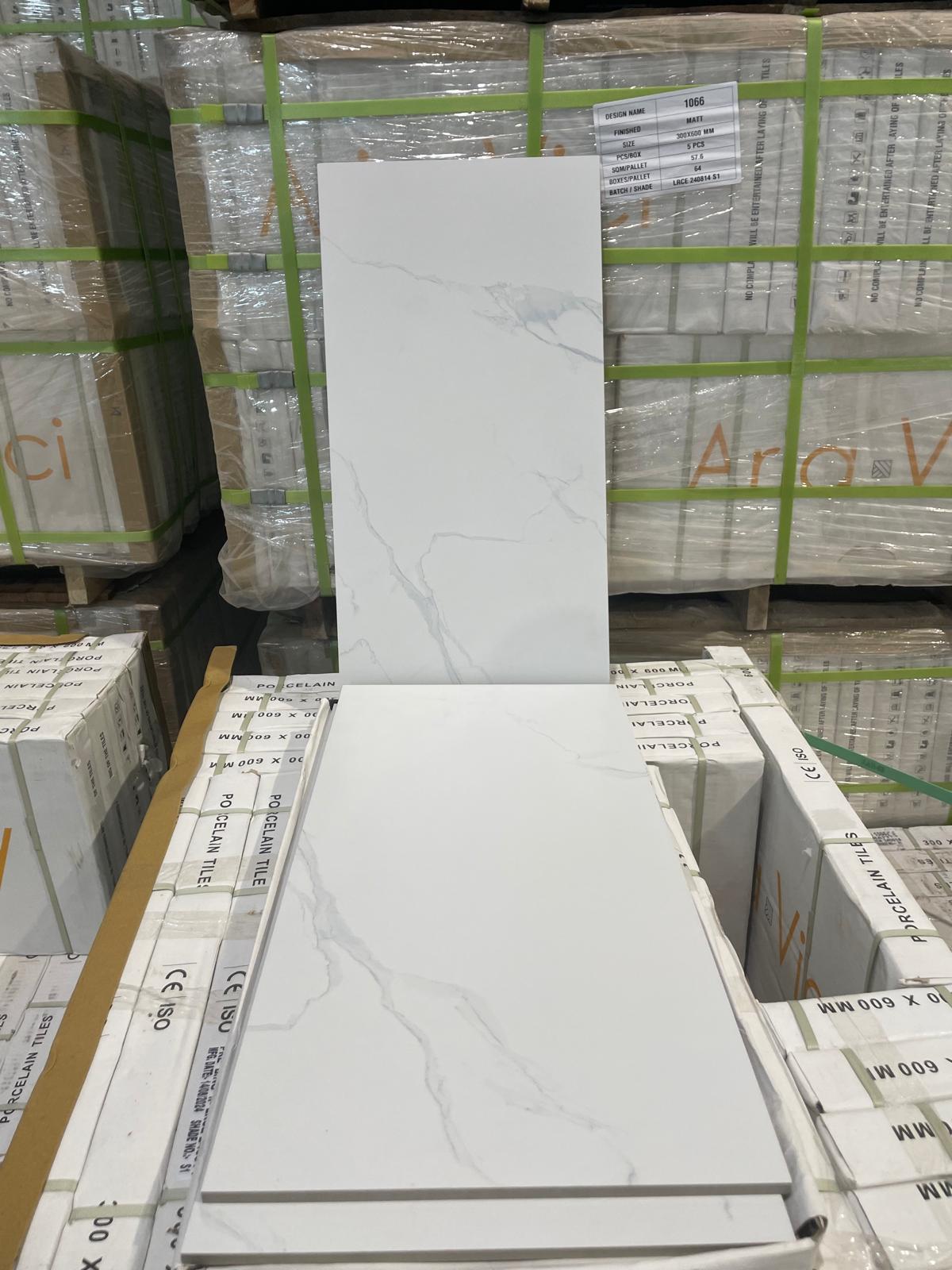 Porcelain Tile 12 x 24 - Model 1066 - Polish Finish - Aria Vici